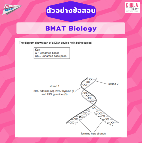 ไขสงสัย ข้อสอบ TPAT1 กสพท. คล้าย BMAT