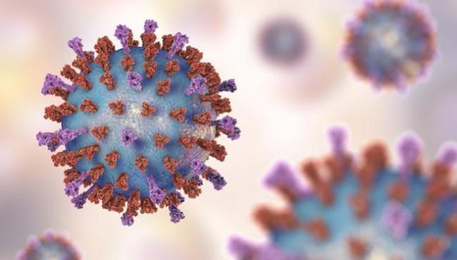 ไวรัส RSV (Respiratory Syncytial Virus)