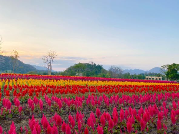  Flower Village Khaoyai 