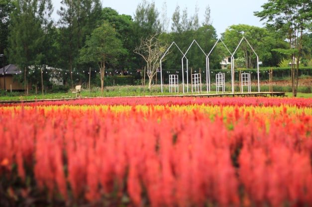  สวนดอกไม้เขาใหญ่ เปิดใหม่ 